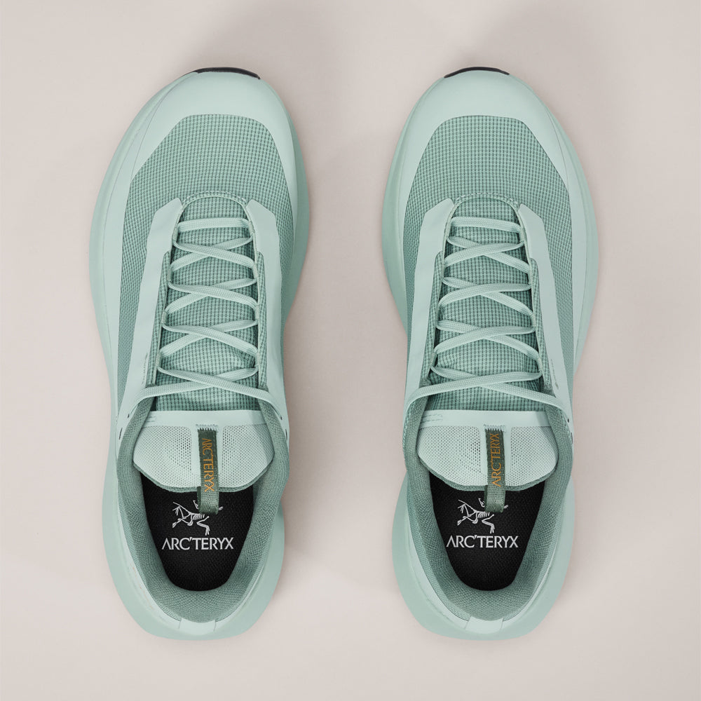 Souliers de course en sentier Arc'teryx Norvan LD 4 GTX (hommes)