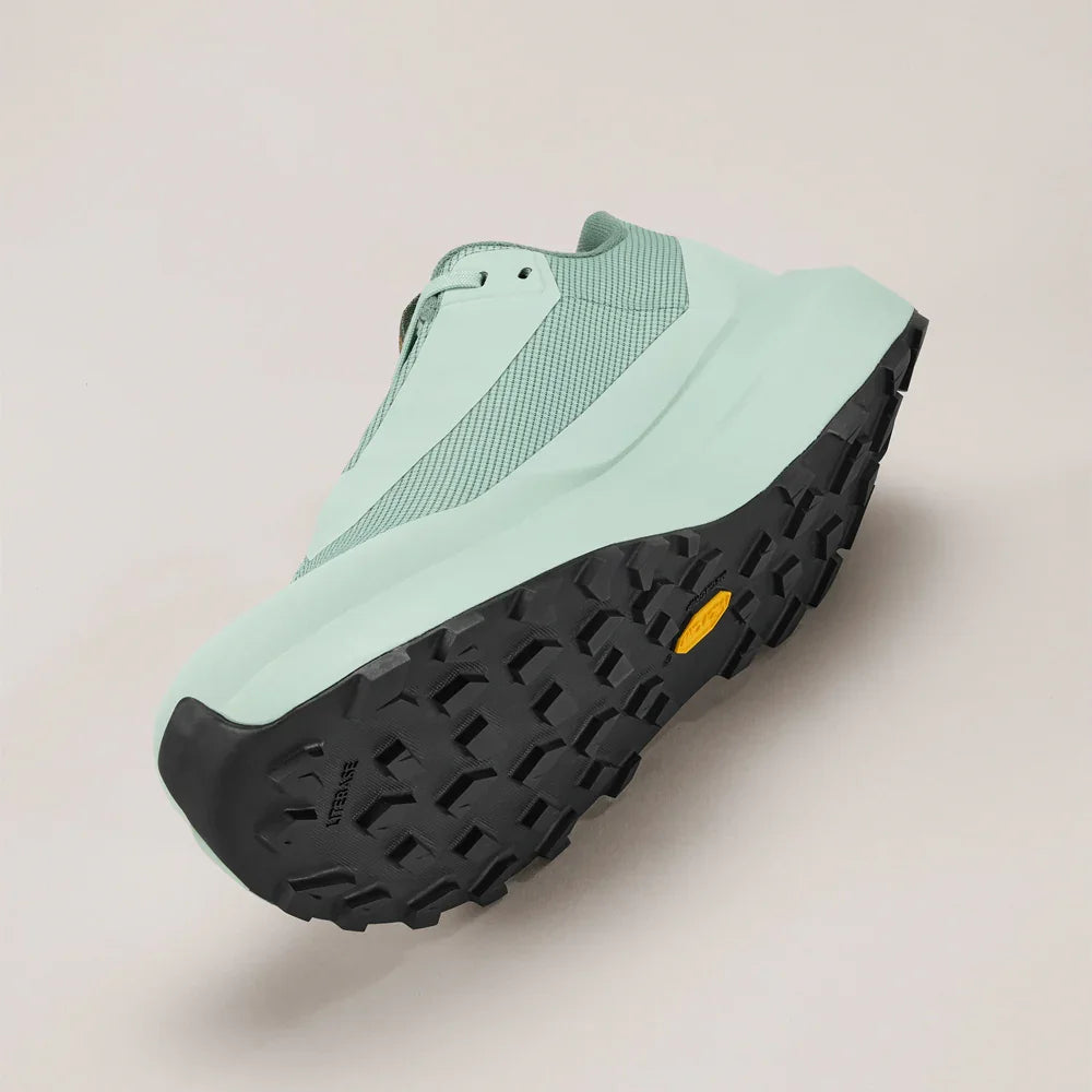 Souliers de course en sentier Arc'teryx Norvan LD 4 GTX (hommes)