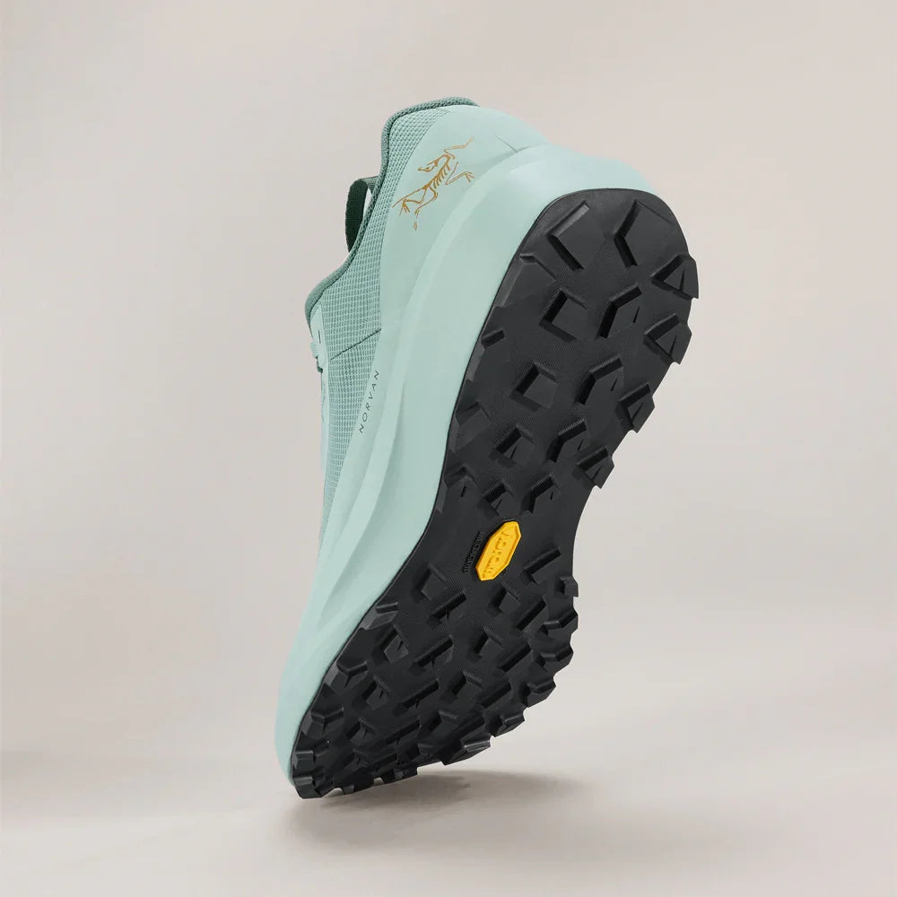 Souliers de course en sentier Arc'teryx Norvan LD 4 GTX (hommes)