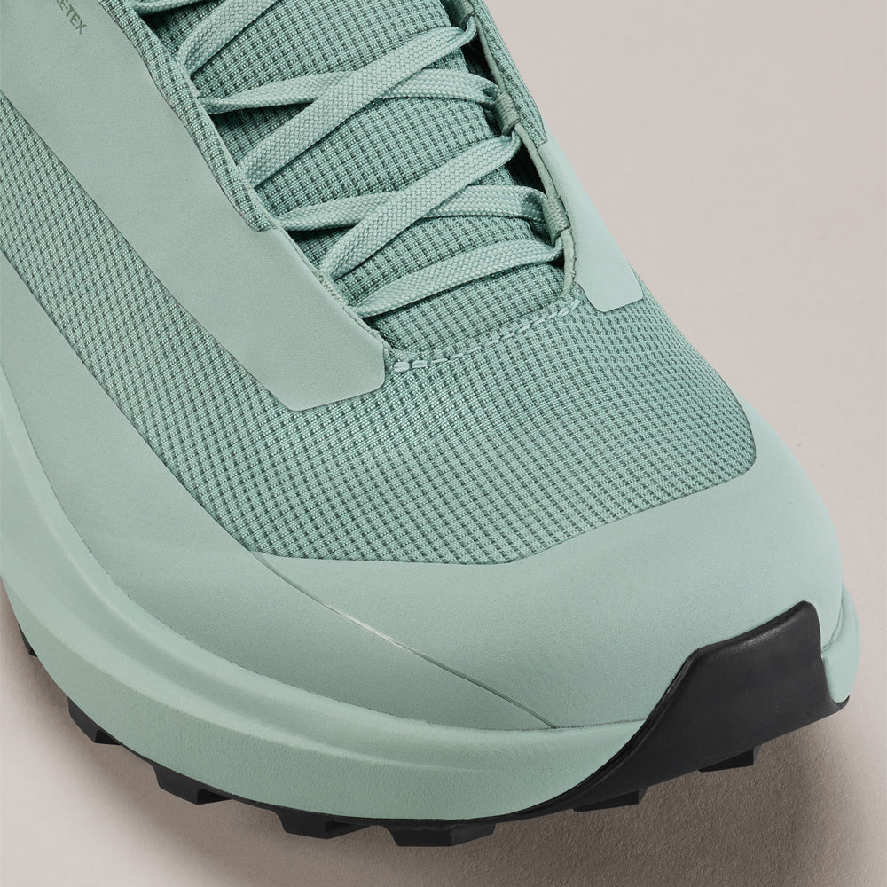 Souliers de course en sentier Arc'teryx Norvan LD 4 GTX (hommes)