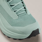 Souliers de course en sentier Arc'teryx Norvan LD 4 GTX (hommes)