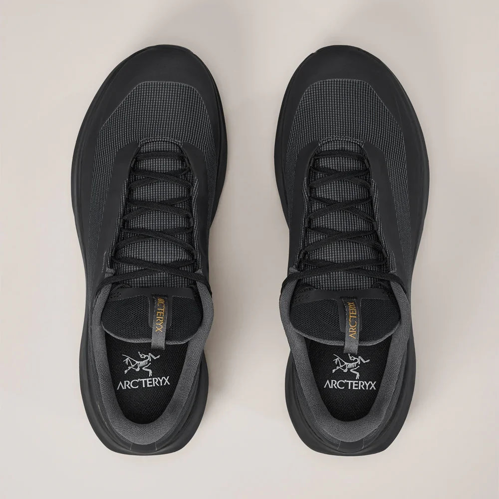 Souliers de course en sentier Arc'teryx Norvan LD 4 GTX (femmes)