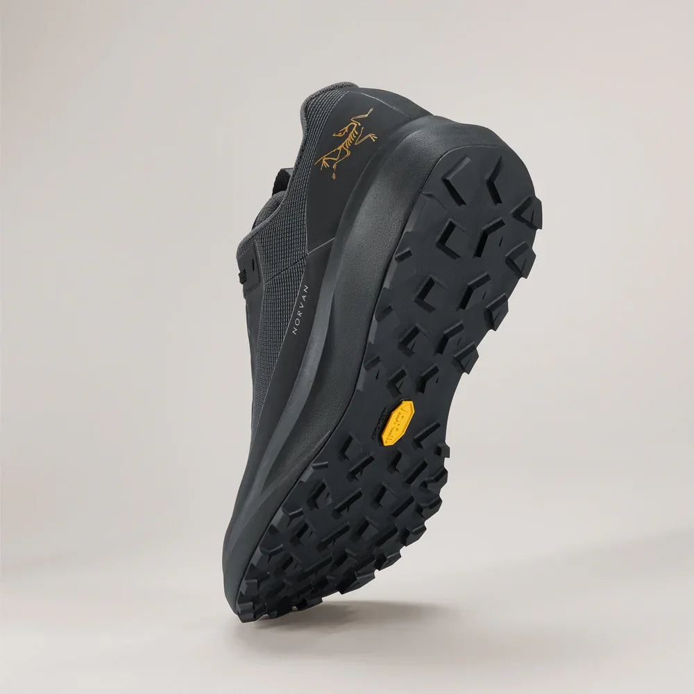 Souliers de course en sentier Arc'teryx Norvan LD 4 GTX (femmes)