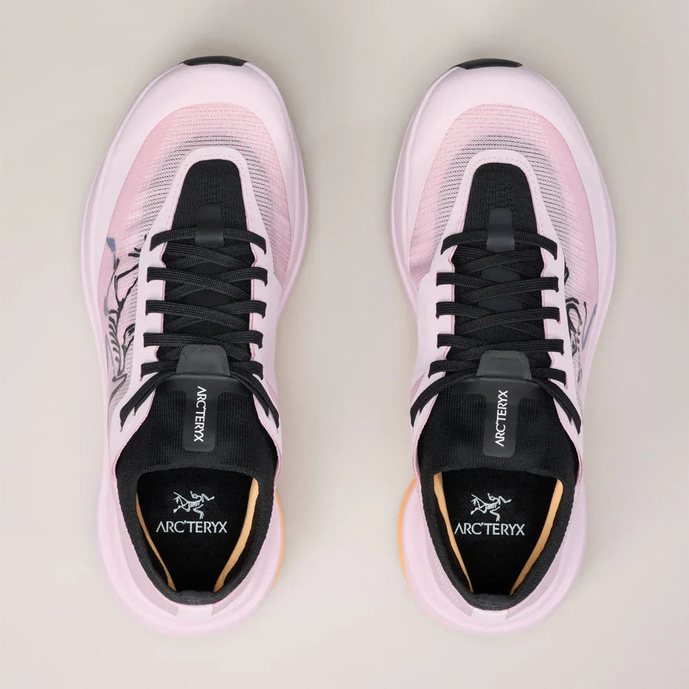 Souliers de course en sentier Arc'teryx Sylan Pro (femmes)