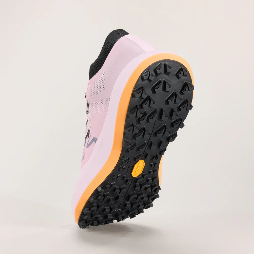 Souliers de course en sentier Arc'teryx Sylan Pro (femmes)