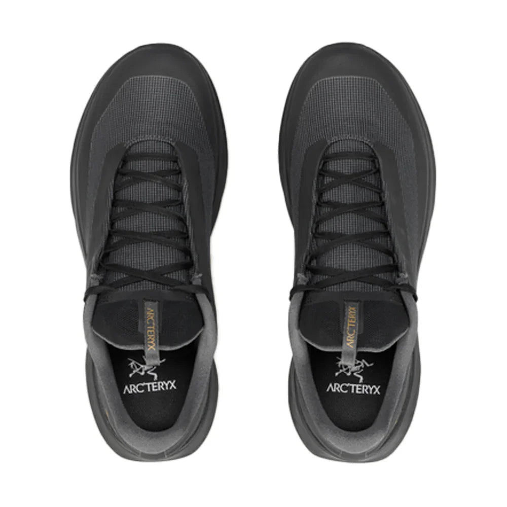 Souliers de course en sentier Arc'teryx Norvan LD 4 GTX (hommes)