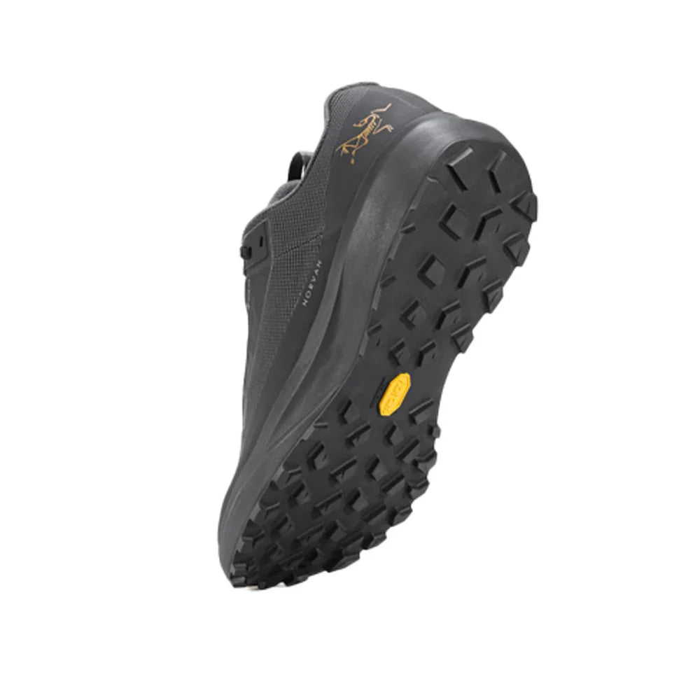 Souliers de course en sentier Arc'teryx Norvan LD 4 GTX (hommes)