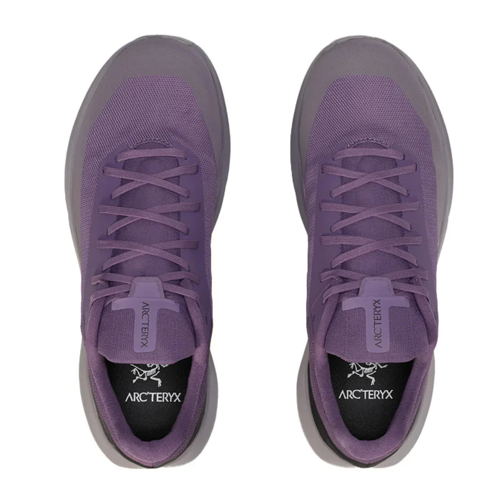 Souliers de course en sentier Arc'teryx Norvan LD 4 (hommes)
