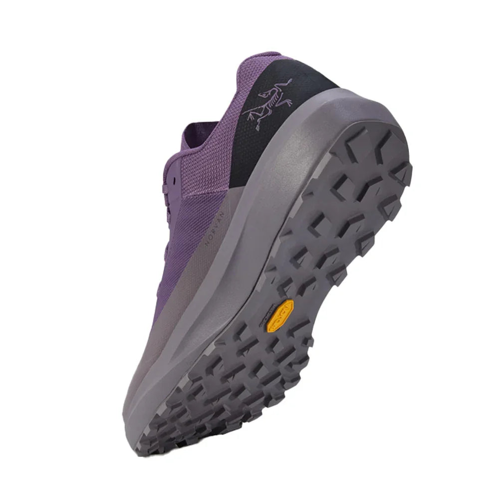 Souliers de course en sentier Arc'teryx Norvan LD 4 (hommes)