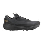 Souliers de course en sentier Arc'teryx Norvan LD 4 GTX (femmes)