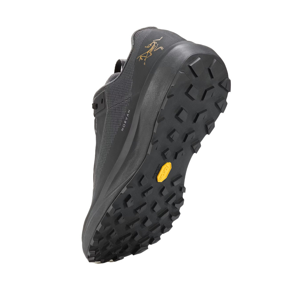 Souliers de course en sentier Arc'teryx Norvan LD 4 GTX (femmes)