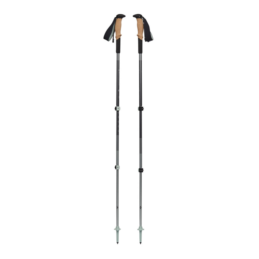 Bâtons de marche Black Diamond Pursuit Shock