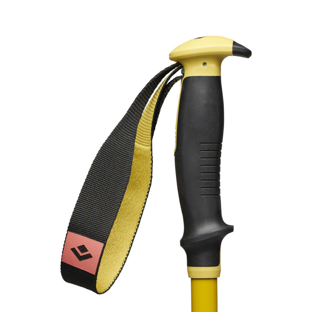 Bâtons de ski de randonnée Black Diamond Traverse 3