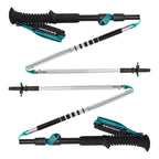 Bâtons de marche Black Diamond Distance FLZ (femmes)