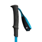 Bâtons de marche Black Diamond Distance Carbon FLZ