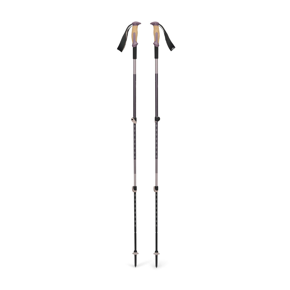 Bâtons de randonnée Black Diamond Trail Vista Shock