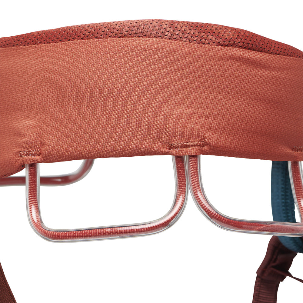 Black Diamond W's Momentum Harness