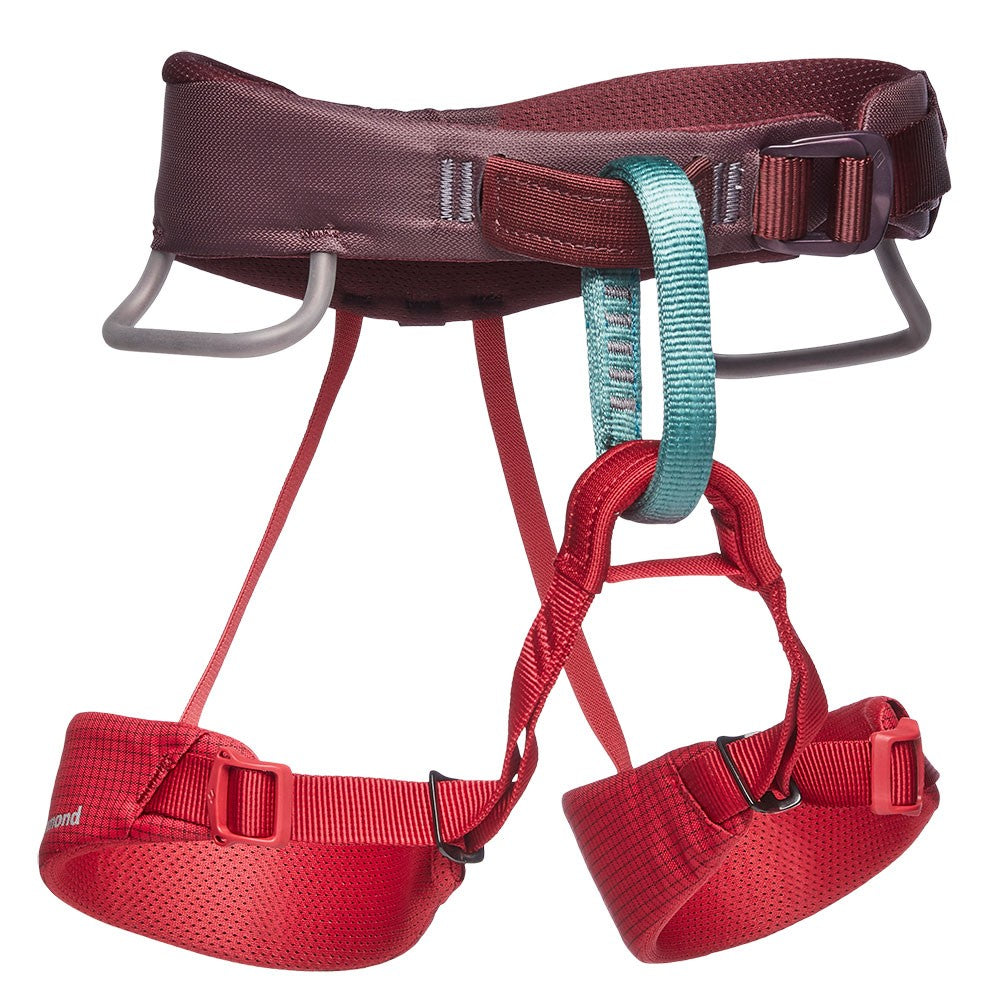 Black Diamond Kids' Momentum Harness