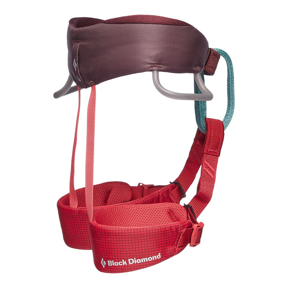 Black Diamond Kids' Momentum Harness