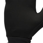 Gants Black Diamond Lightweight Screentap (hommes)