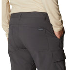 Pantalon convertible Columbia Newton Ridge II (hommes)