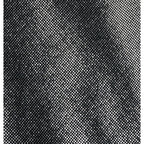 Columbia W's Back Beauty Passo Alto III Pants
