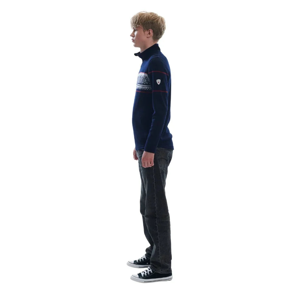 Chandail Dale of Norway Moritz 280 1/4 Zip (hommes)