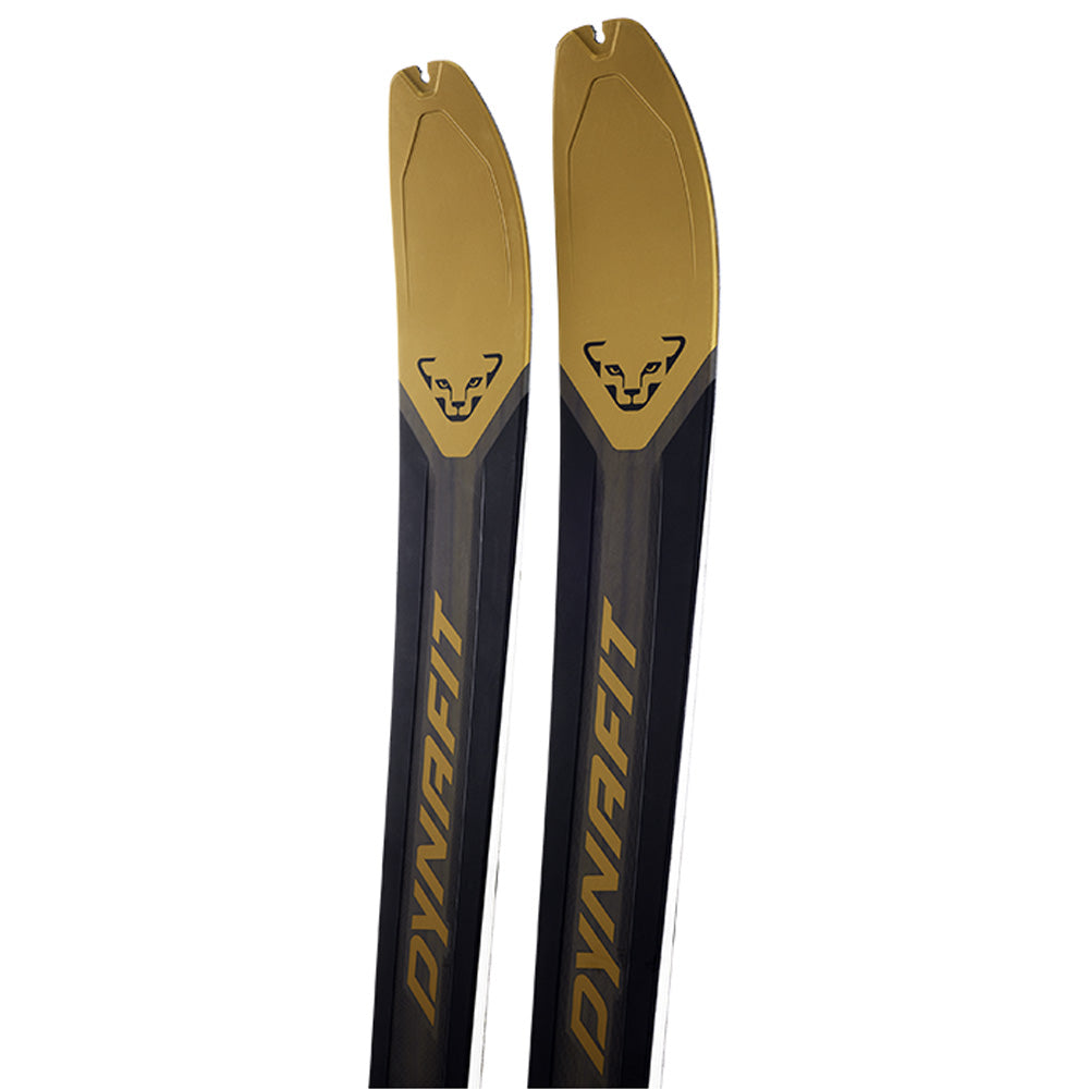 Skis de randonnée Dynafit Ridge 95