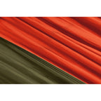 Eagles Nest Outfitters SingleNest Hammock