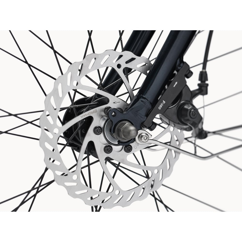 Electra Loft Go! TD EQ Step-Over Electric Bike