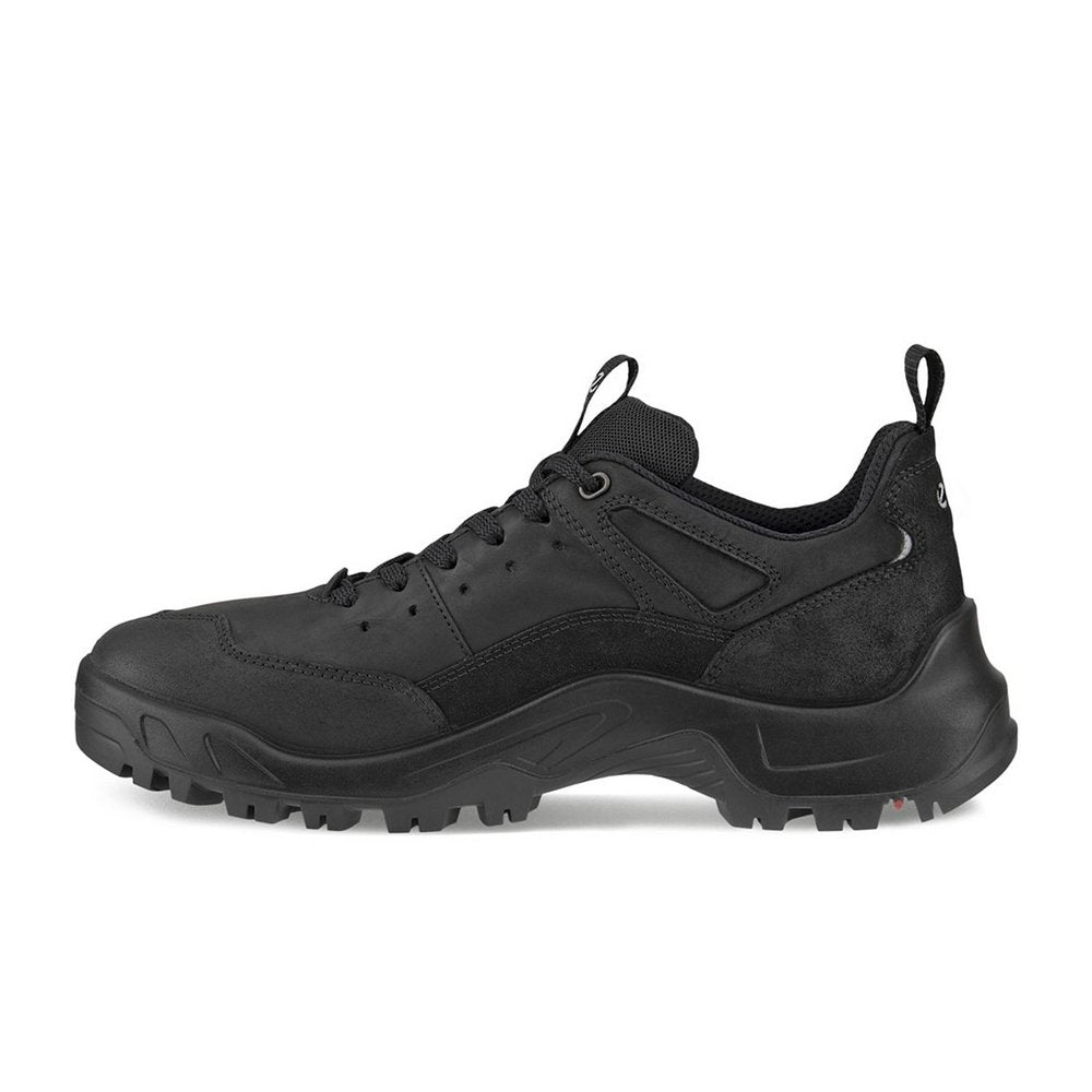 Souliers de randonnée Ecco Offroad (hommes)