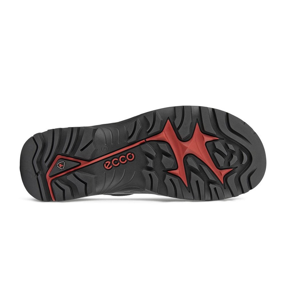 Souliers de randonnée Ecco Offroad (hommes)