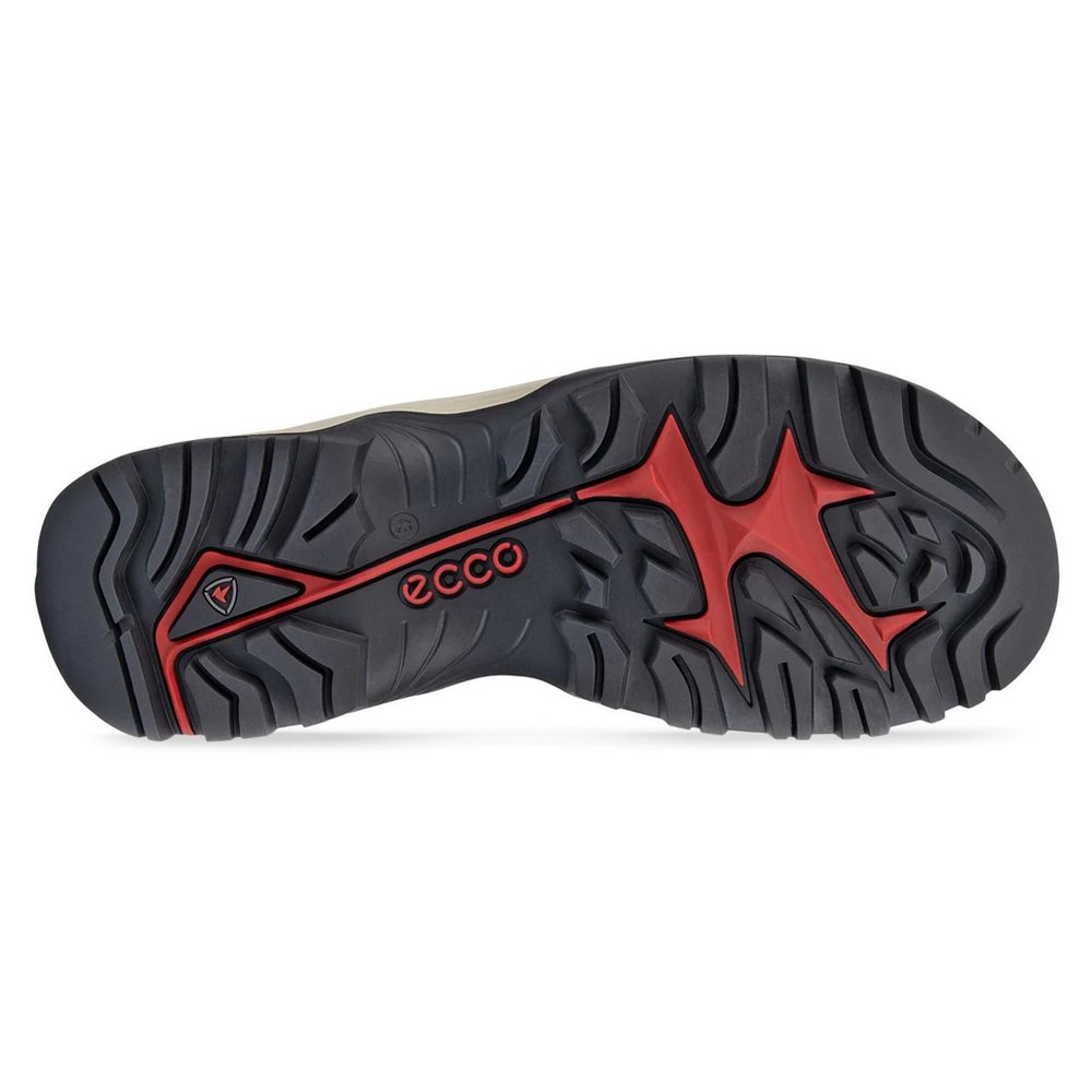 Souliers de randonnée Ecco Offroad (hommes)