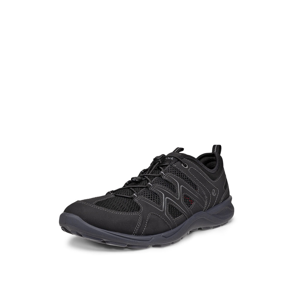 Souliers Ecco Terracruise LT (hommes)