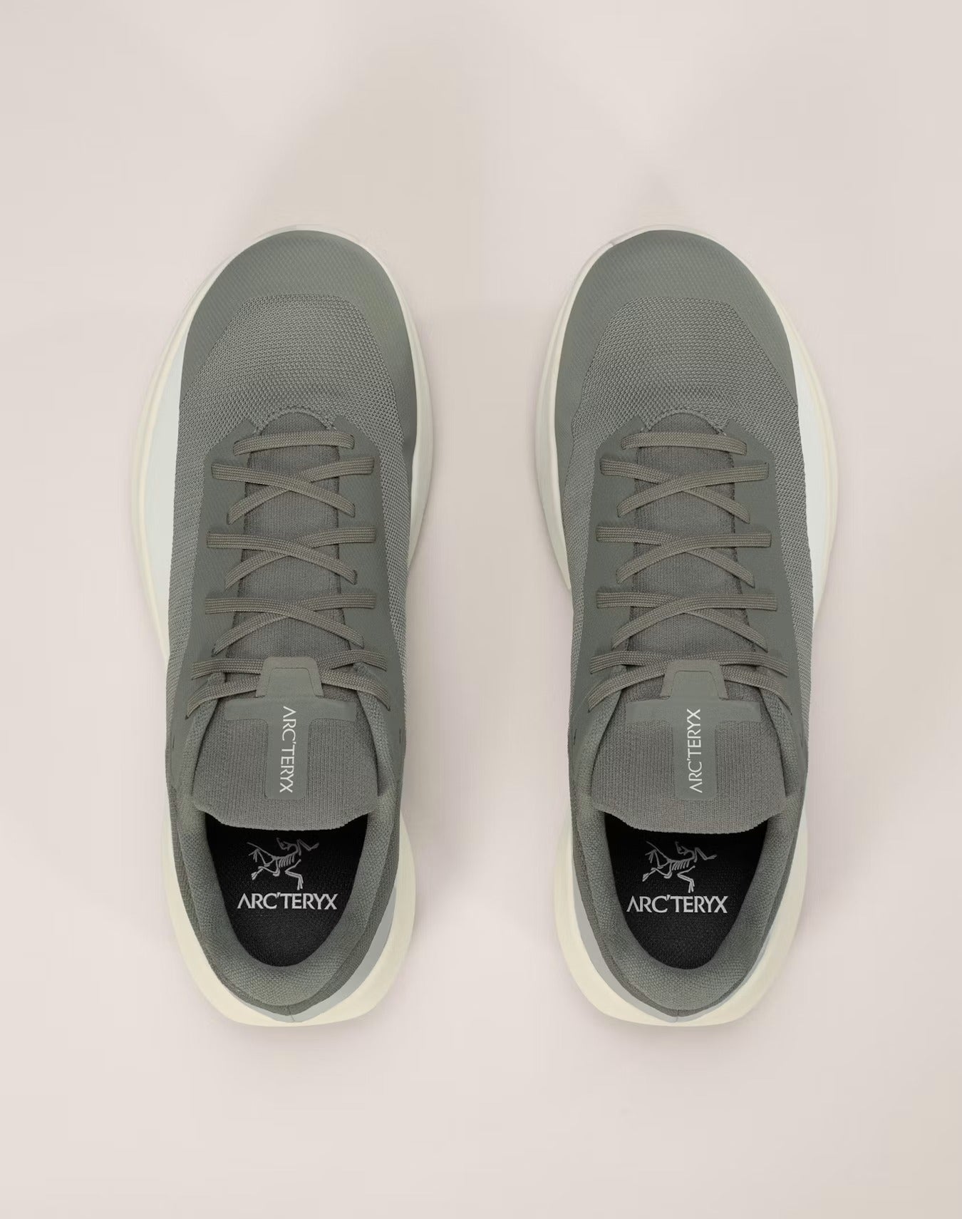 Souliers de course en sentier Arc'teryx Norvan LD 4 (hommes)