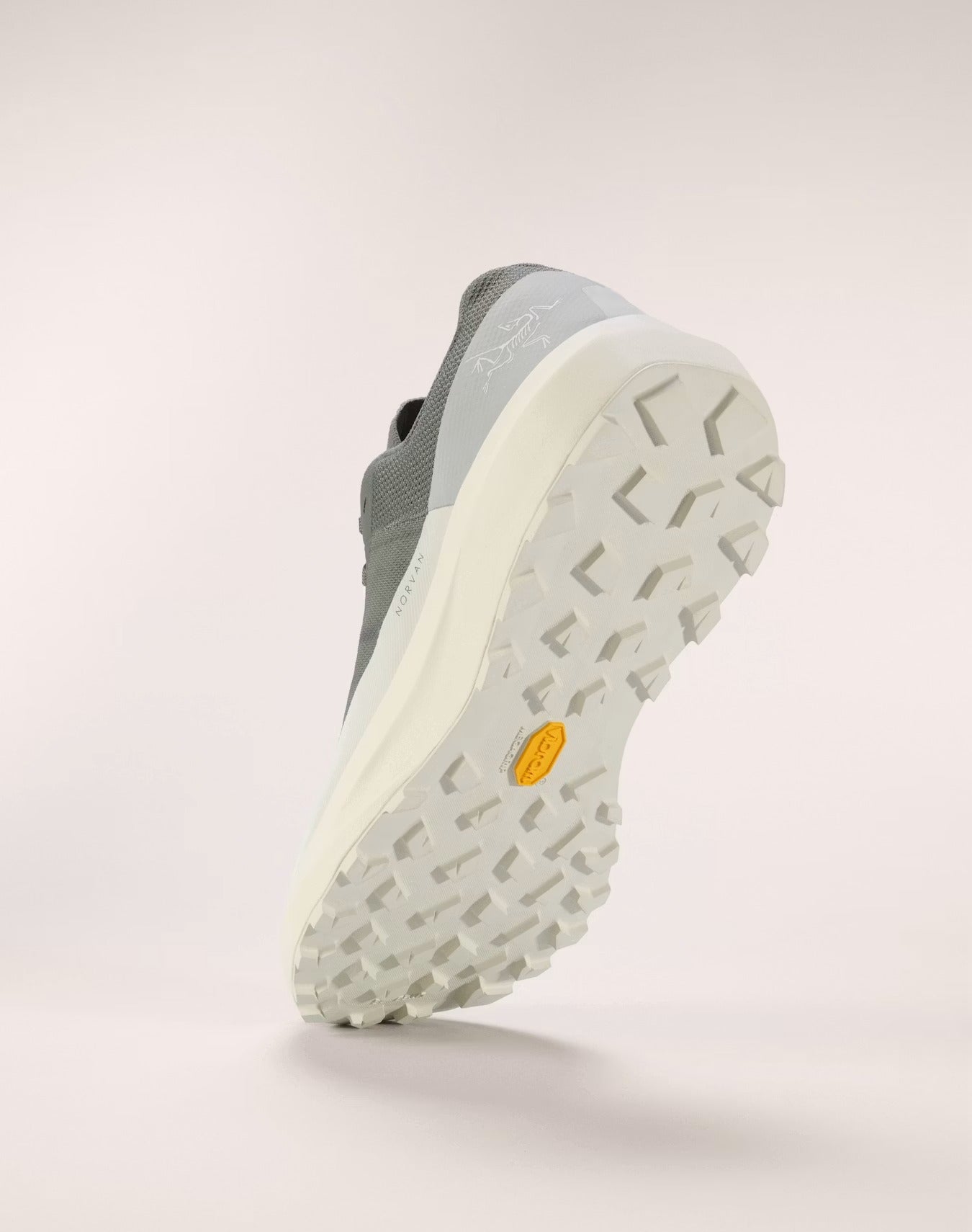Souliers de course en sentier Arc'teryx Norvan LD 4 (hommes)
