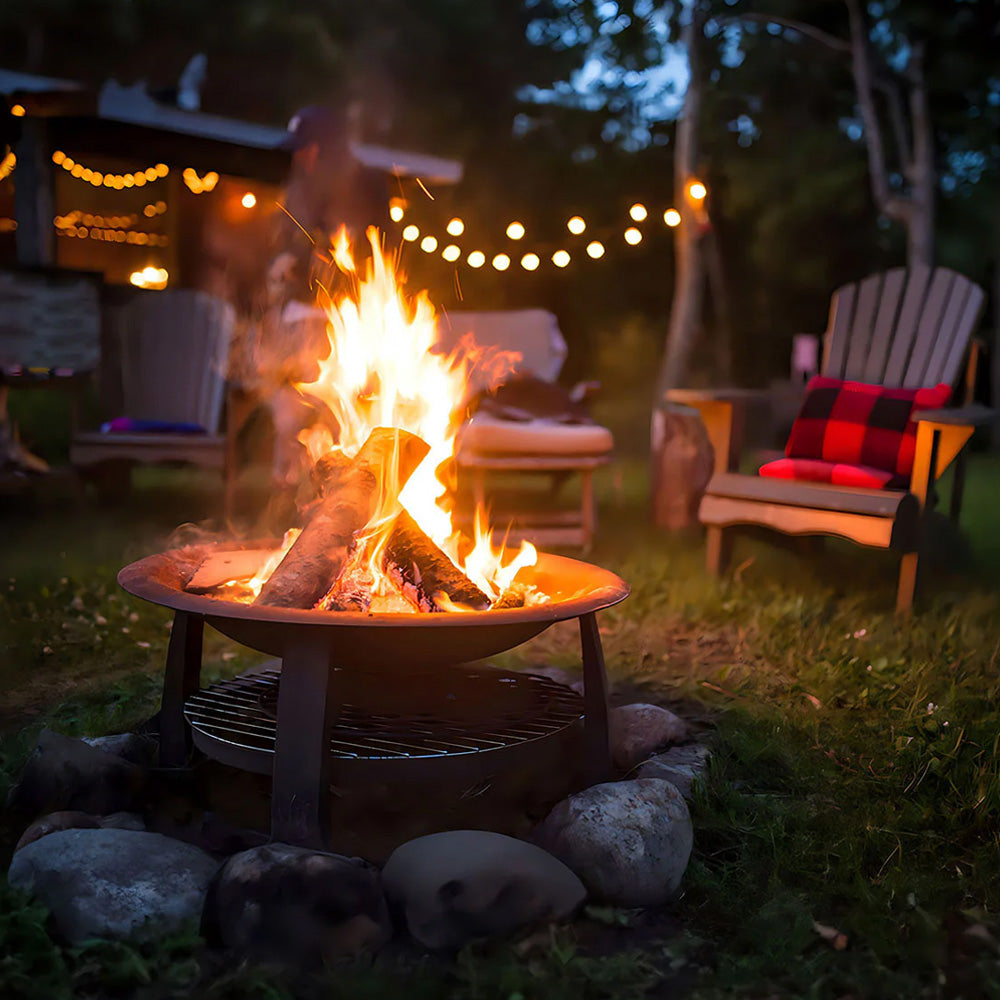 Allume-feu naturel Gofire