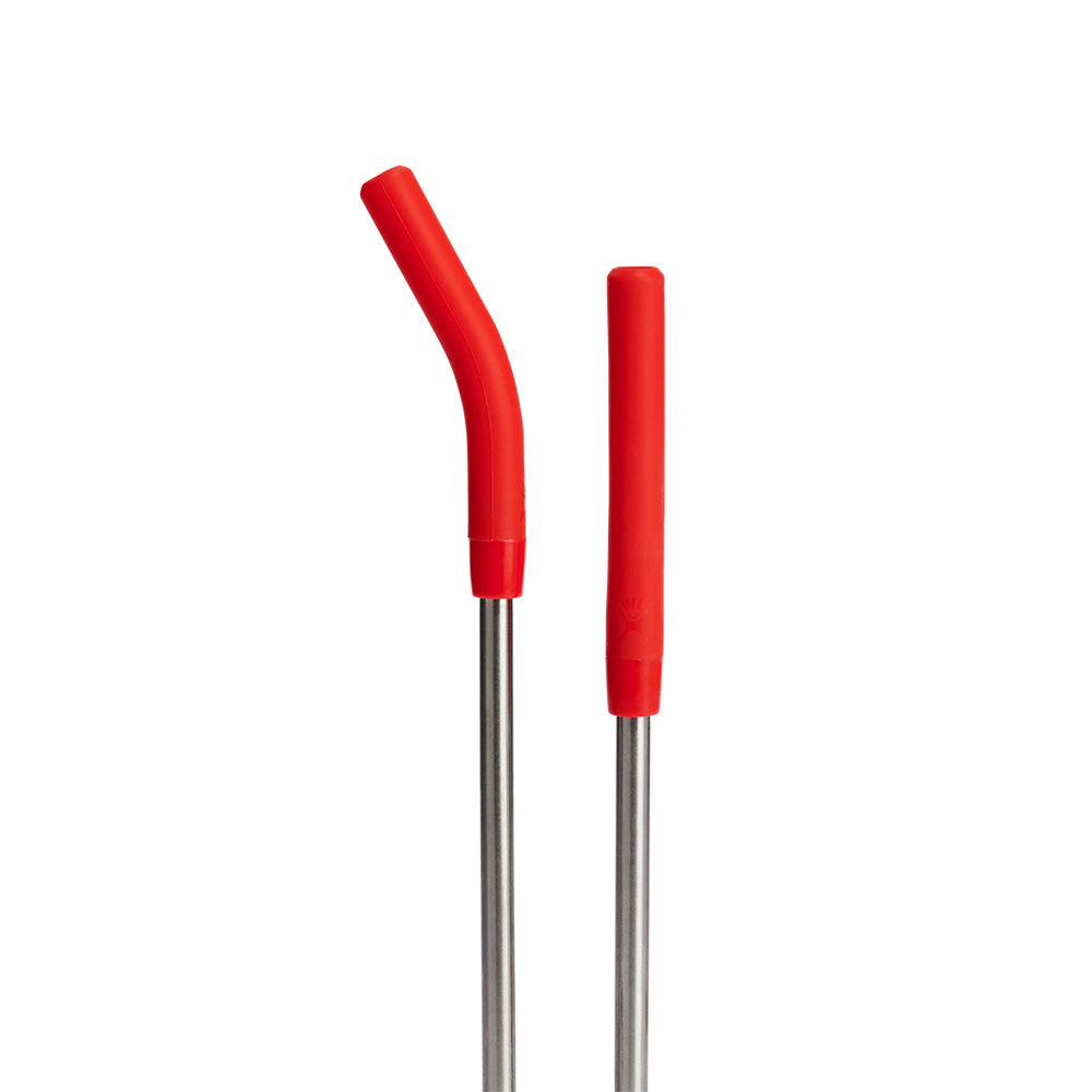 Ensemble de pailles en acier inoxydable Hydroflask