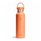 Bouteille isolée à goulot standard Hydro Flask Monochrome Flex Cap – 621 ml