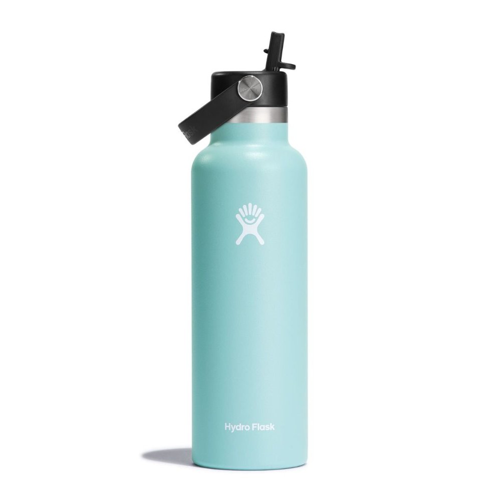 Bouteille à goulot standard Hydro Flask avec capuchon Flex Straw 621 ml