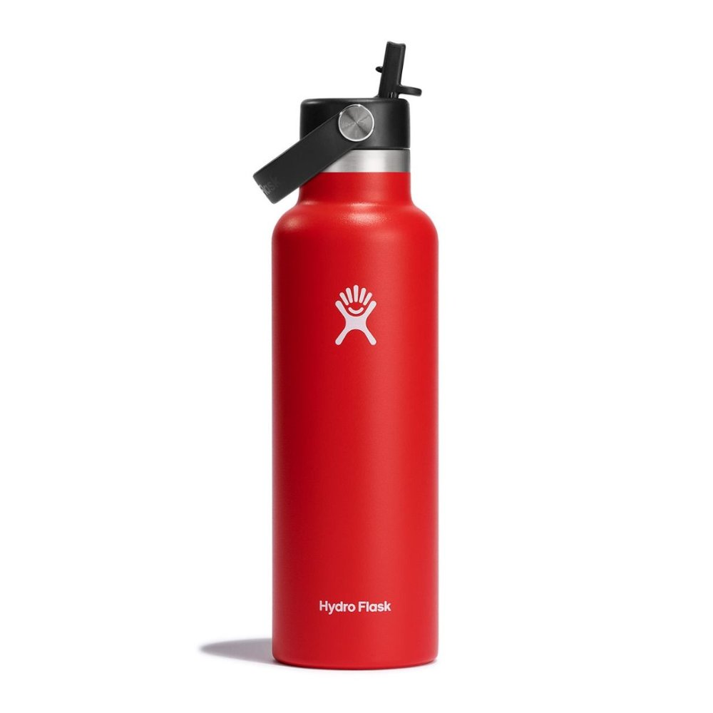Bouteille à goulot standard Hydro Flask avec capuchon Flex Straw 621 ml