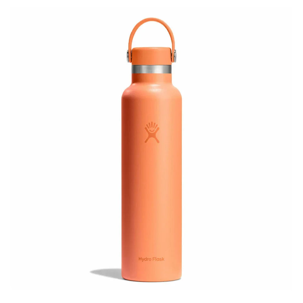 Hydro Flask Monochrome Flex Cap Standard Mouth Insulated Bottle – 710 ml