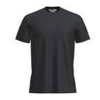 T-shirt Icebreaker Merino 150 Tech Lite (hommes)