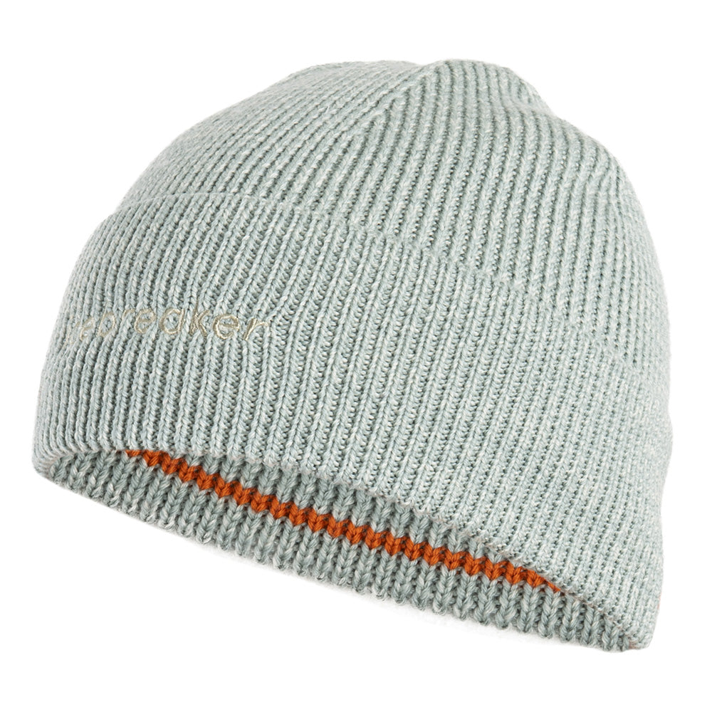 Tuque Icebreaker All Day