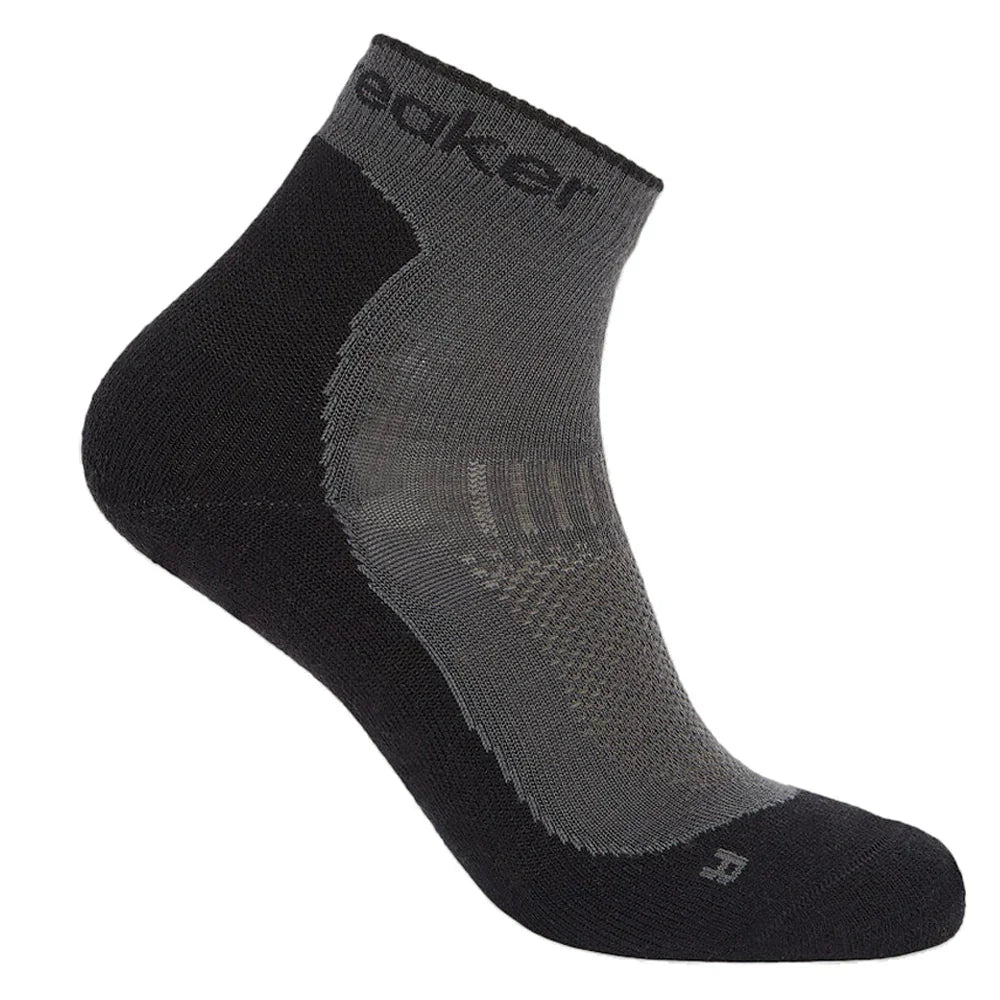 Bas Icebreaker Merino Hike+ Light Mini (femmes)