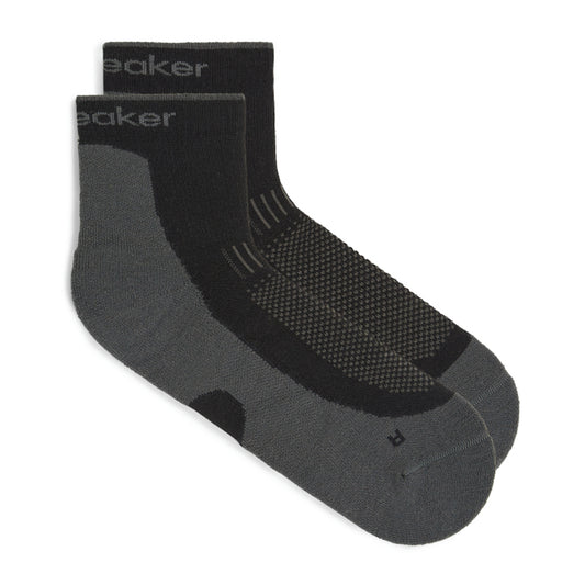 Icebreaker M's Merino Hike+ Light Mini Socks