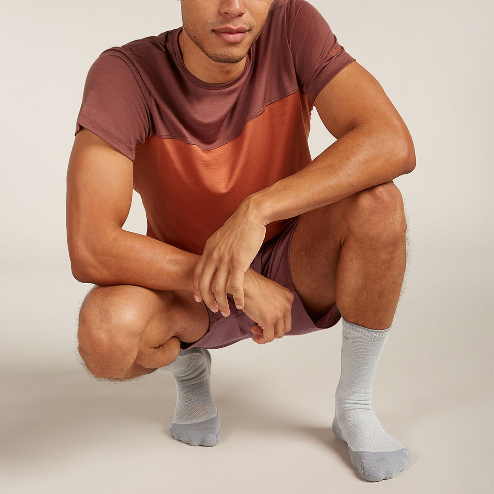 Bas Icebreaker Merino Hike+ Light Crew (hommes)