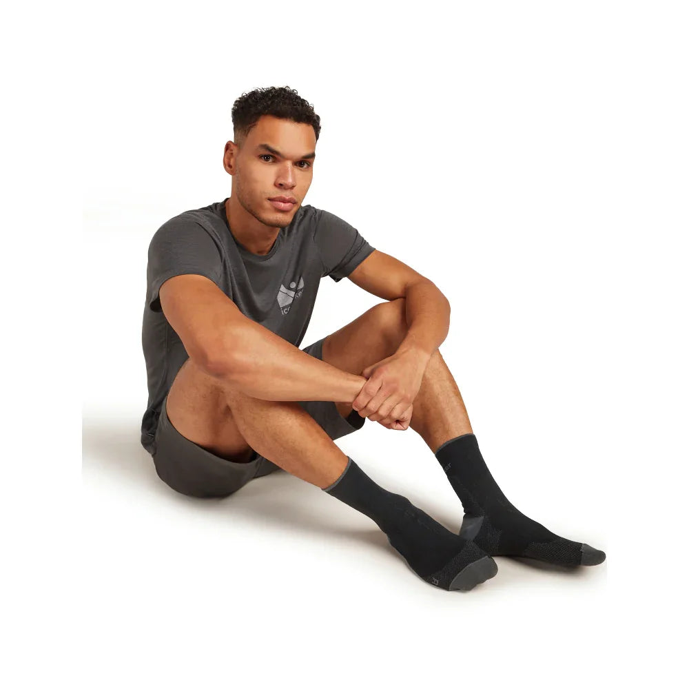 Icebreaker M's Merino Hike+ Ultralight Quarter Socks