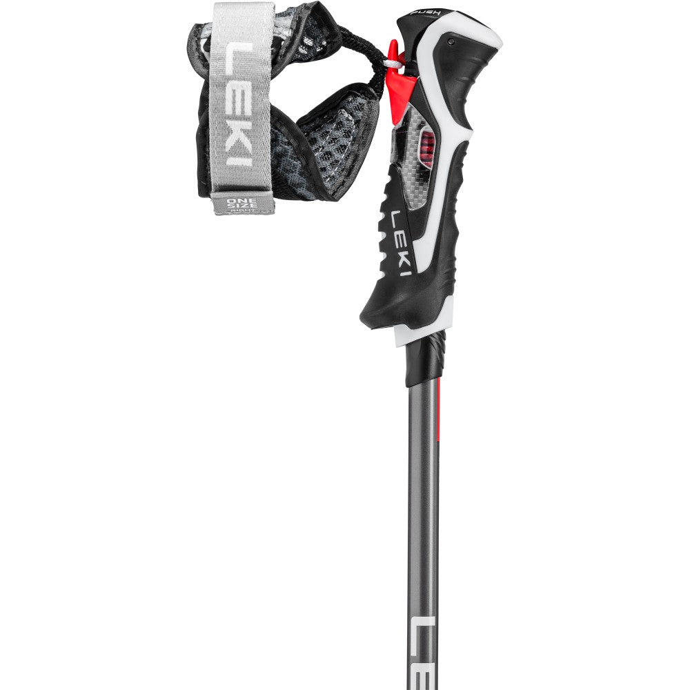 Bâtons de ski alpin Leki Carbon 14 3D