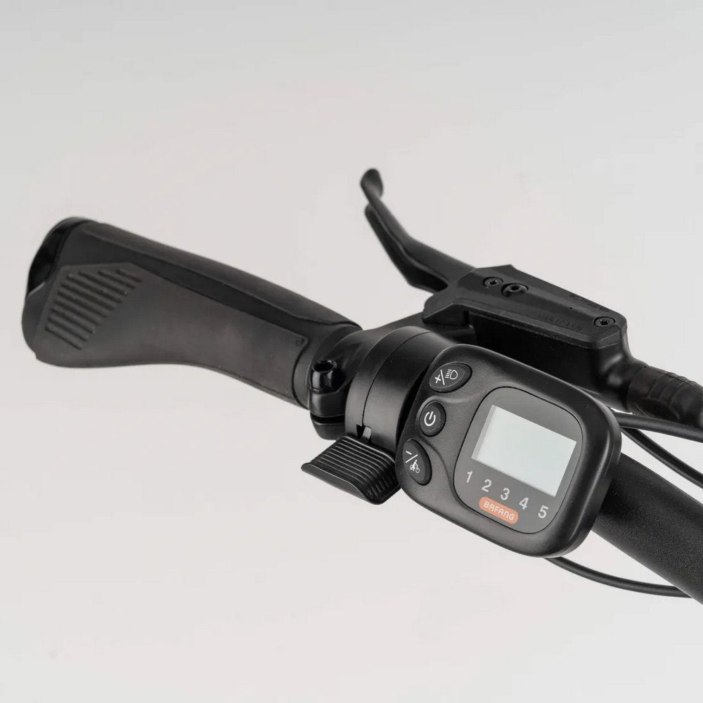 Vélo à assistance électrique Louis Garneau E-Espace R +